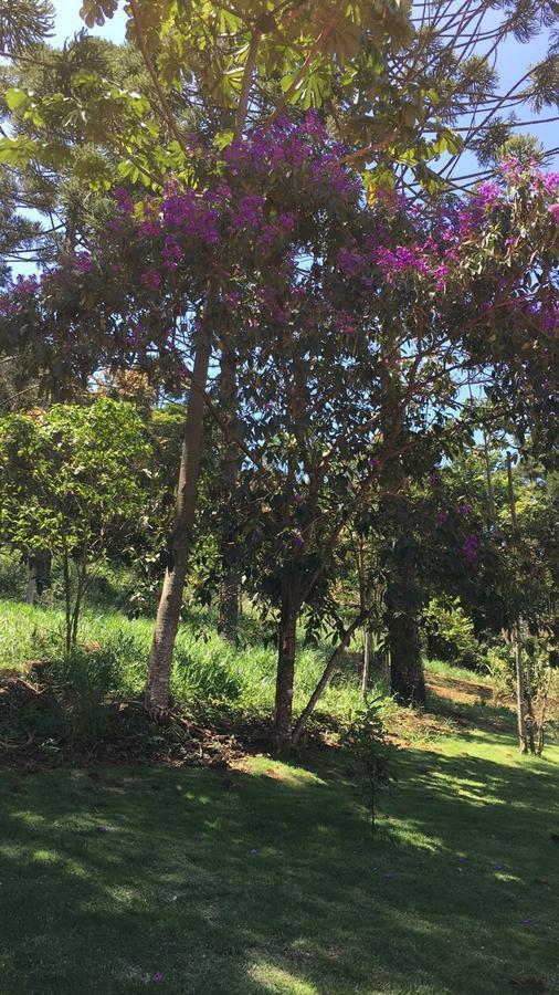 Pousada Canto Dos Passaros Itanhandu Bagian luar foto